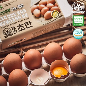 [한솔양계 맘란] 무항생제 초란 40구 / 살모넬라 안심 KAIST 서민갑부 계란 달걀